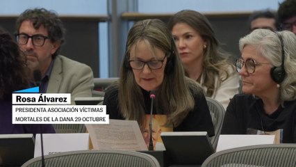 Las asociaciones de víctimas de la dana en la Eurocámara: "Que se pongan en marcha medidas reales"