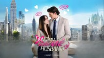 Don't Fall In Love With Me- Husband