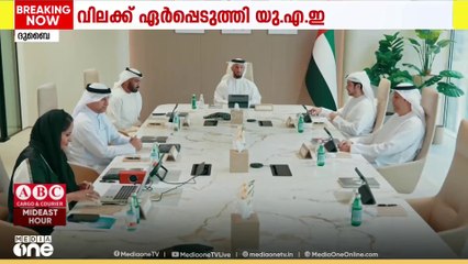 ദേശീയചിഹ്നങ്ങൾക്ക് എ.ഐ വേണ്ട; വിലക്ക് ഏർപ്പെടുത്തി യു.എ.ഇ