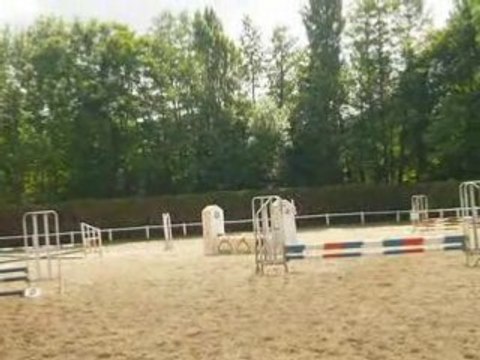 Concours du 18 mai 2008 fauvettes audreu et miracle