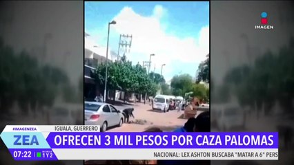 Sujetos son captados cazando palomas en Iguala, Guerrero