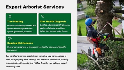 HillTop Tree Service | Tree service in Akron IN