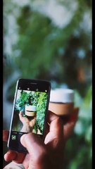 Diferencia entre el café común y el café instantáneo