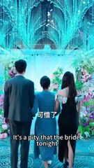 Sunflower Fields And Crazy Bird