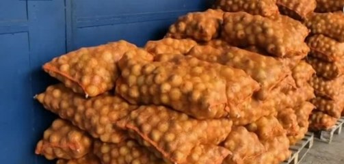 Retienen cargamento de cebolla sin permisos ni etiquetado en Chiriquí