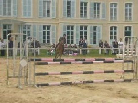 Concours du 18 mai 2008 fauvettes aurélie et armstadt