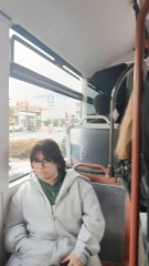 Bus Travel in France 🇫🇷