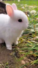 So cute. A beautiful moment #100