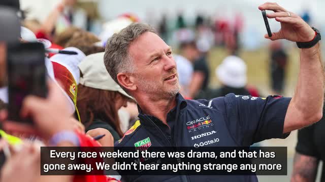 Red Bull already seems calmer without Horner - Steiner