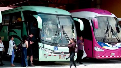 tn7-costa-rica-necesita-1.500-choferes-de-autobús-pero-no-logra-conseguirlos-250925