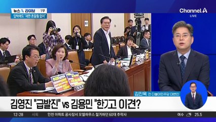 김현지 총무비서관 ‘국감 출석’ 가닥