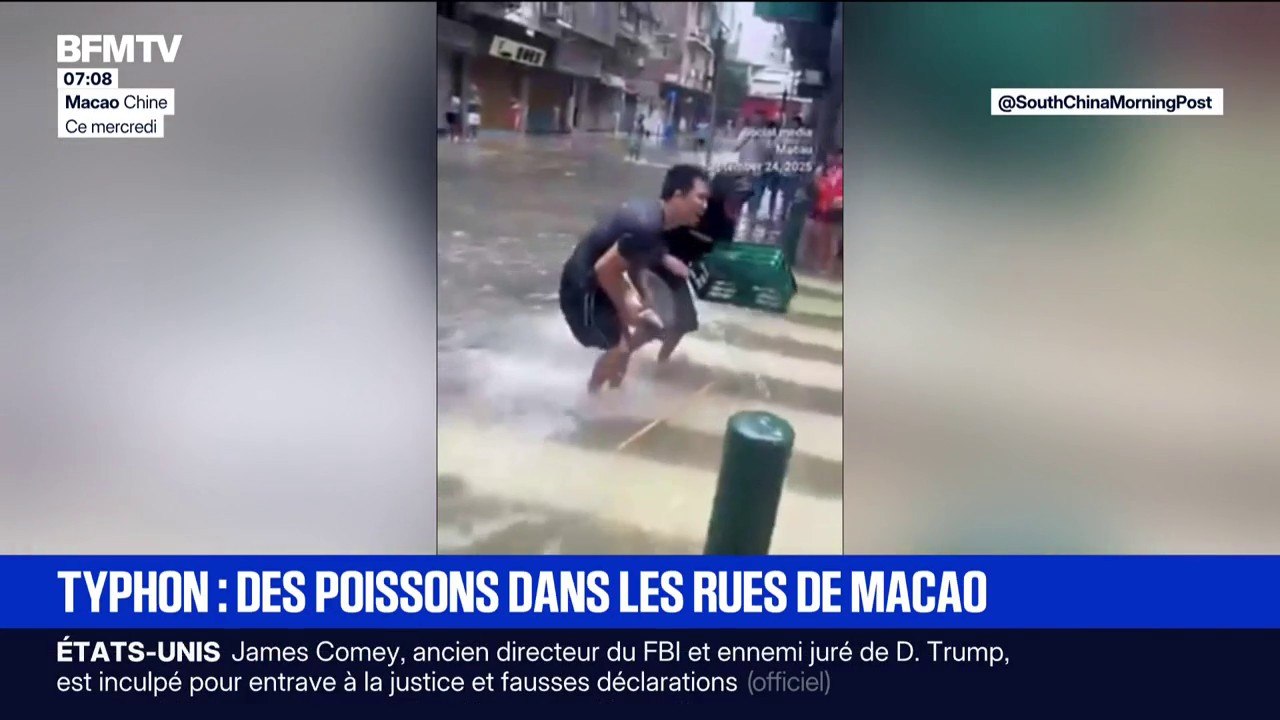 Typhon Ragasa: les habitants de Macao en Chine pêchent des poissons à mains nues dans les rues inondées