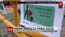 Se cumple un mes de la muerte por atropello de Julia en Guanajuato; familiares exigen justica