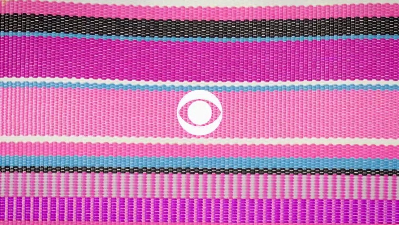 Elsbeth - staffel 3 Trailer OV