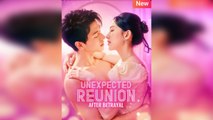 Unexpected Reunion After Betrayal - Full Episodes