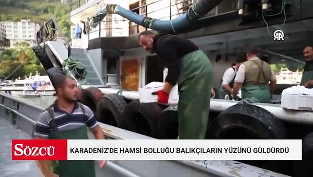 Karadeniz'de hamsi bolluğu balıkçıların yüzünü güldürdü