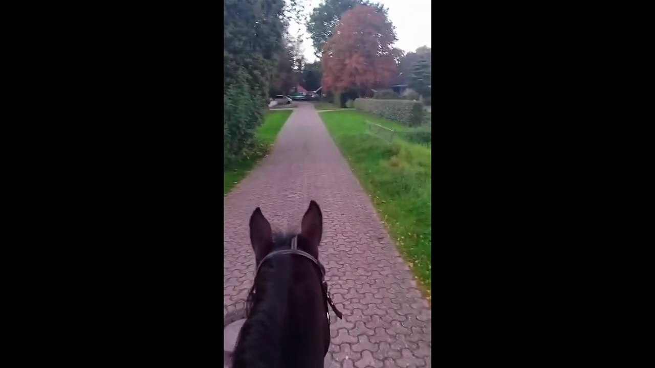 Abendritt Oktober 25