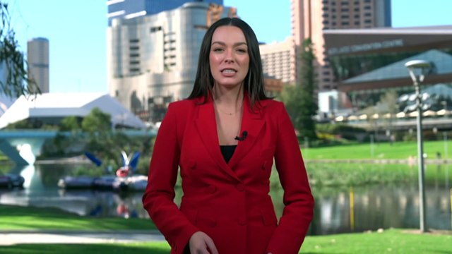 Researchers examine factors driving decline in immunisation rates