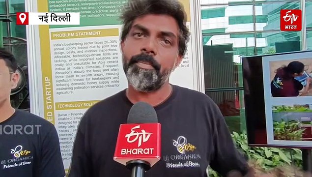 मधुमक्खी पालन करने वालों के लिए काम की खबर, अब AI बेस्ड सिस्टम से कर सकेंगे मधुमक्खियों की देखभाल, जानिए क्या है तरीका