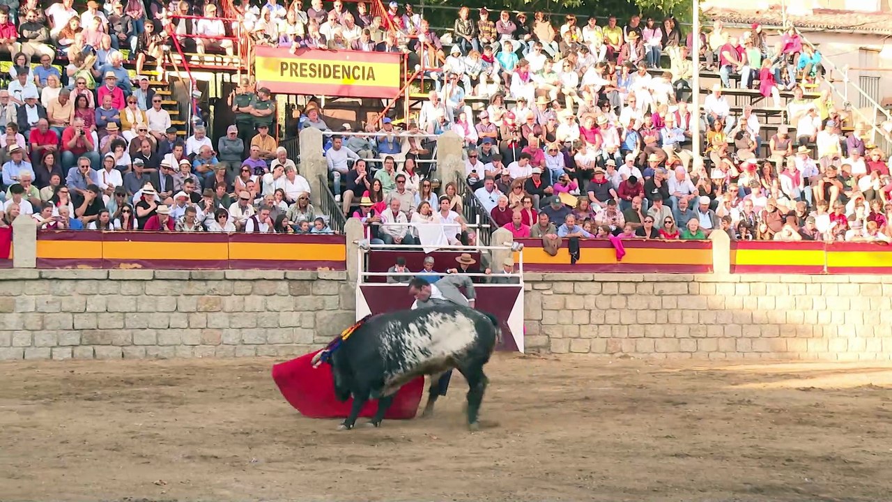 Festejos de verano con reportajes de Salamanca, Riaza, Tordesillas, Burgohondo, Logroño, entre otros
