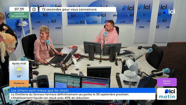 72 secondes pour vous convaincre que les chiens ont plus de qualités que les chats