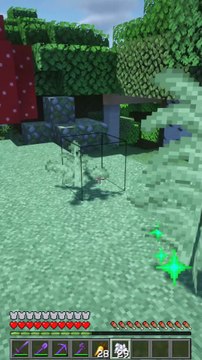 Les items RARES de mincraft 3