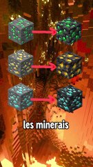 Les items les plus rares de Minecraft