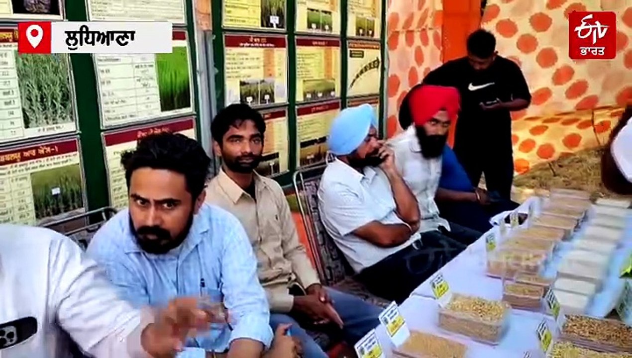ਕਿਸਾਨ ਮੇਲੇ 'ਚ ਖਿੱਚ ਦਾ ਕੇਂਦਰ ਬਣੀ ਕਣਕ ਦੀ ਨਵੀਂ ਕਿਸਮ ਪੀਬੀਡਬਲਿਉ 872, ਕਿਸਾਨਾਂ ਲਈ ਹੋਵੇਗੀ ਲਾਹੇਵੰਦ!