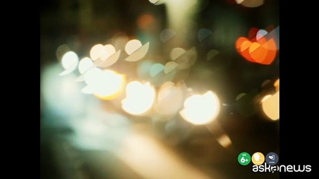 Tre ciotole : Elio Germano e Alba Rohrwacher nel mondo di Michela Murgia