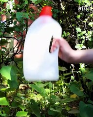 Useful garden hack you didn't know you needed!