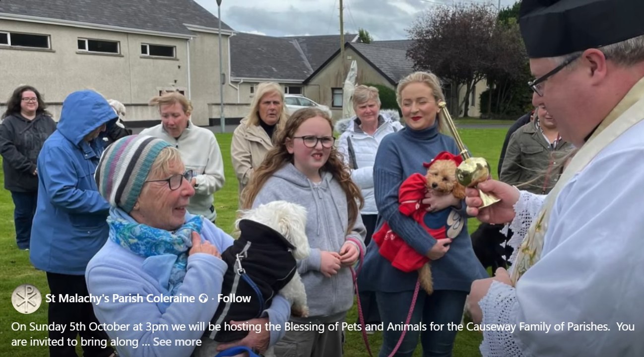 Blessing of pets, Colerane 2025
