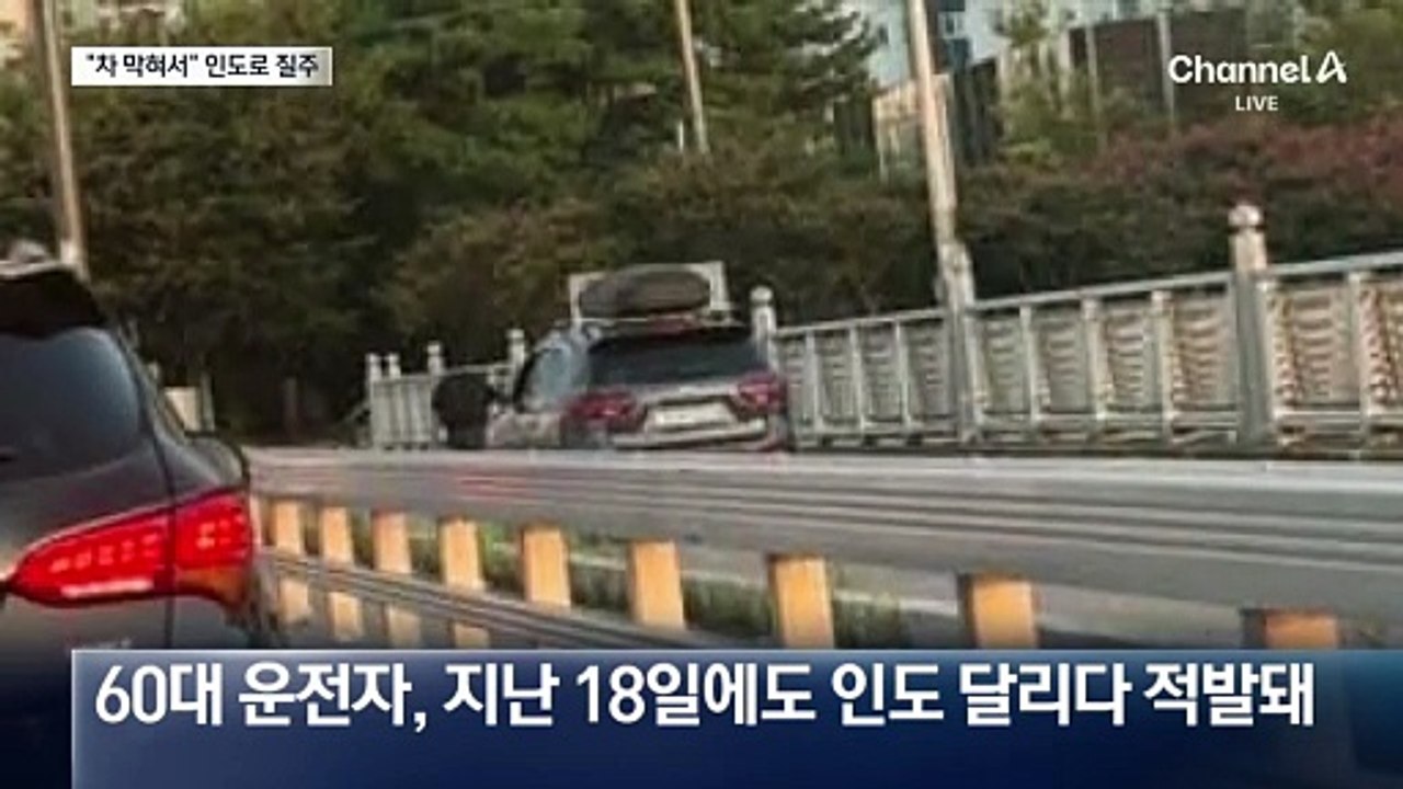 과태료 받고 1주 만에 또 인도로 주행