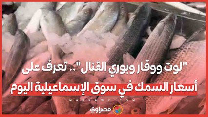 "لوت ووقار وبوري القنال".. تعرف على أسعار السمك في سوق الإسماعيلية اليوم