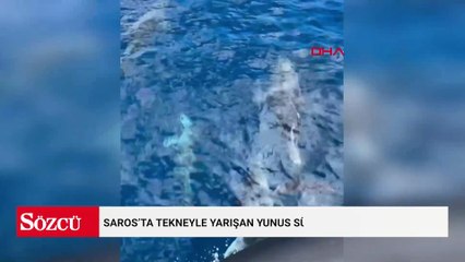 Saros’ta tekneyle yarışan yunus sürüsü kamerada