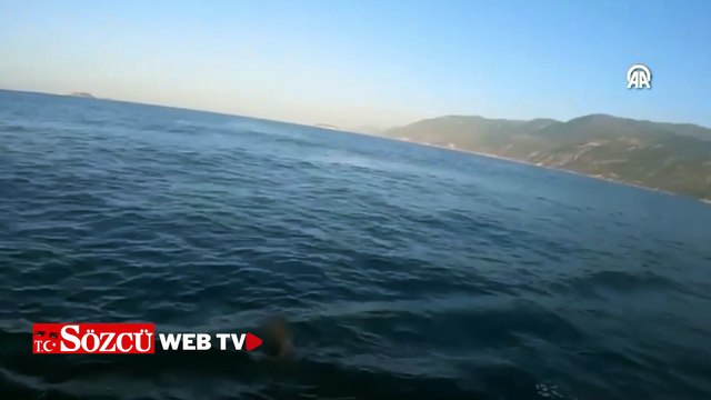 Yüzerek yurt dışına kaçmaya çalışan hükümlü yakalandı