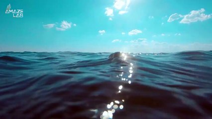 Introducing the Demon Shark! A Beast That Marine Biologists Have Been Trying to Track Down