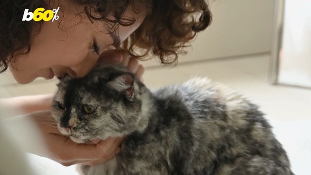 Leaving a Job to Take Better Care of Their Pets Is What A Lot of Americans Are Doing