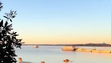 Kangaroos in Australia 🇦🇺