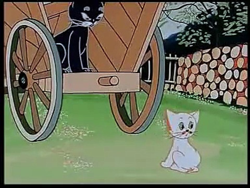Przygody kota filemona 37