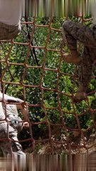 Your Potential Awaits: Steps to Transform Your Life