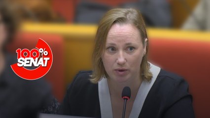 100% Sénat - Saison 2025 : des festivals en péril ?