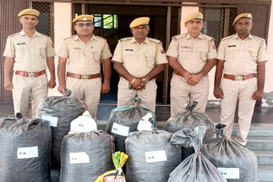 Pali News : सोजत में बड़ी कार्रवाई : 145 किलो डोडा पोस्त व 2.8 किलो अफीम जब्त, कार पलटने पर आरोपी फरार