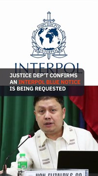 Interpol Blue Notice sought to track Zaldy Co’s whereabouts