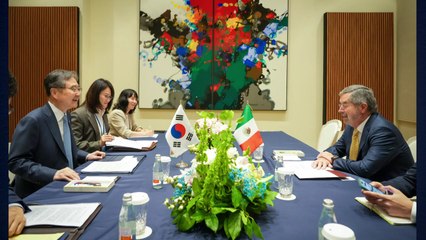 조현, 멕시코 측에 "관세 인상 충분한 협의" 강조 / YTN