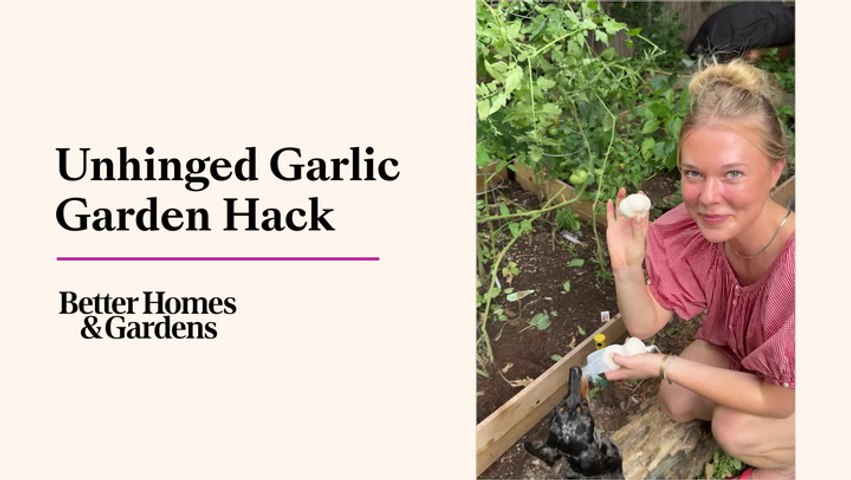 Unhinged Garlic Garden Hack