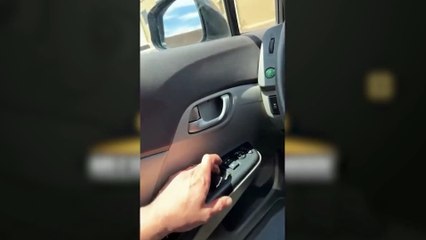 Chicken Under Car?! Mechanic’s Wildest Noise Hunt Yet