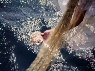 النجمة اليانا تُعلن عن إنطلاق جولة "وُلدتُ" العالميّة