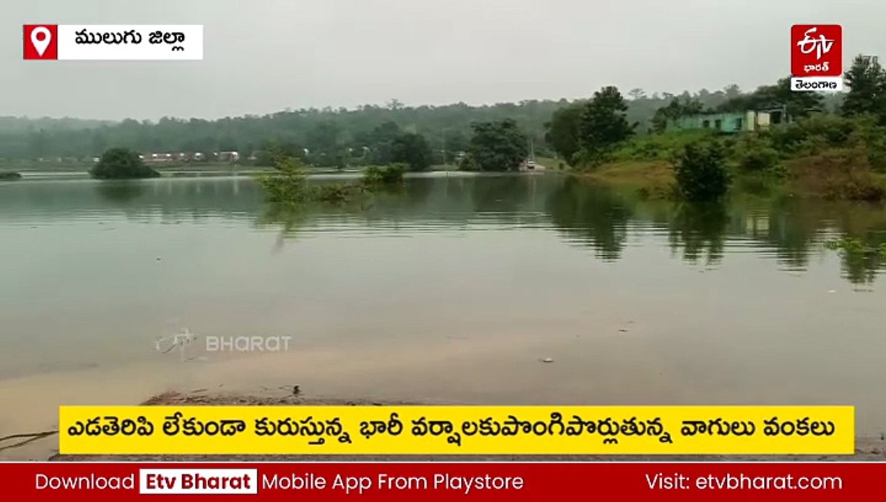 భద్రాచలం వద్ద పెరుగుతున్న గోదావరి ప్రవాహం - మొదటి ప్రమాద హెచ్చరిక జారీ