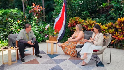 bd-camaras-ocultas-una-mirada-inedita-a-la-vida-silvestre-260925