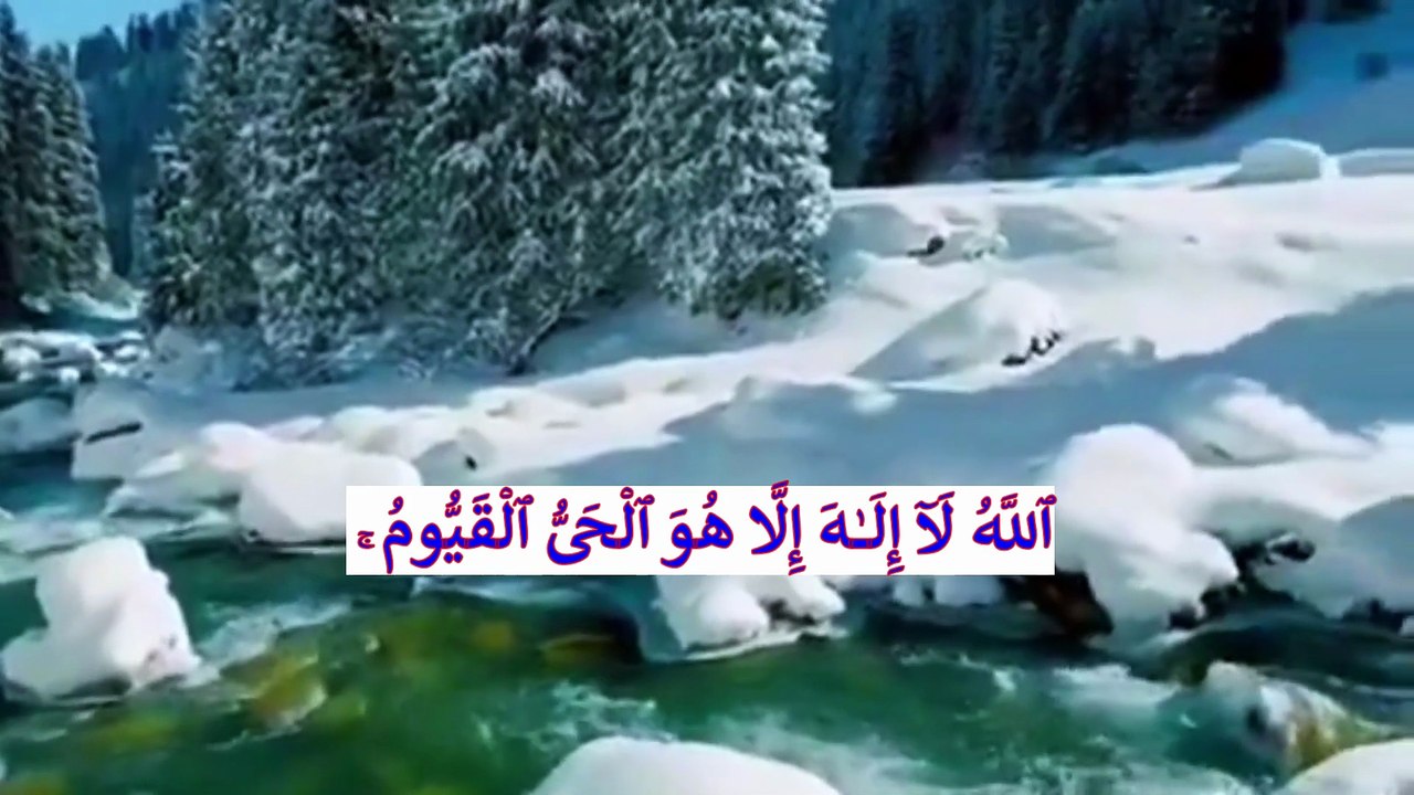 Aytal KURSI